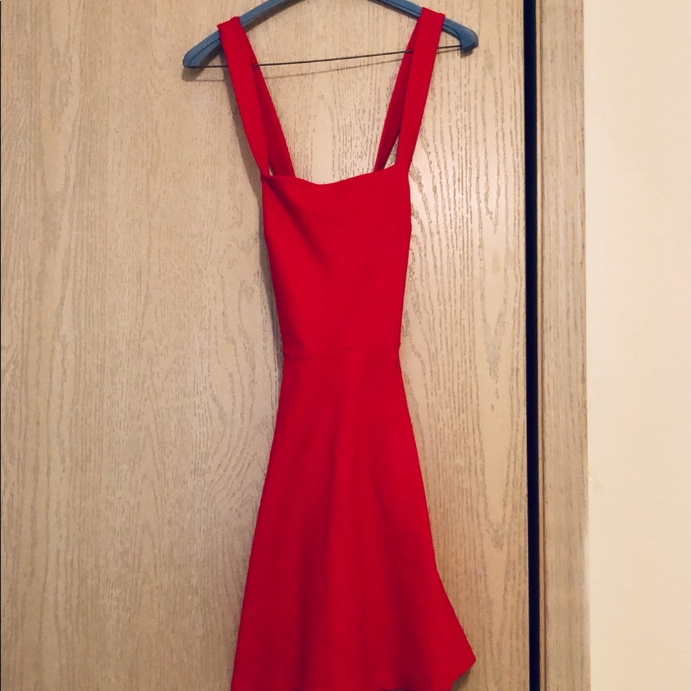 Pink Zara skater dress